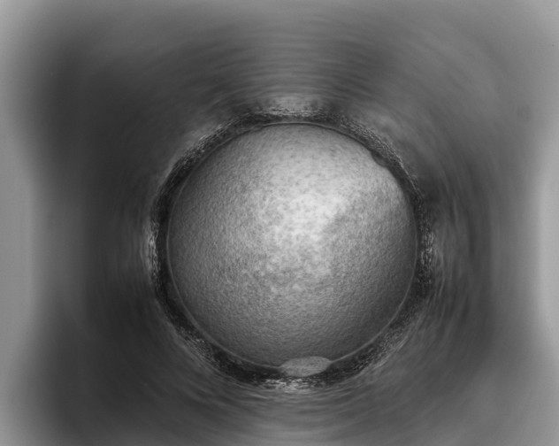 X0000095890688200801181226