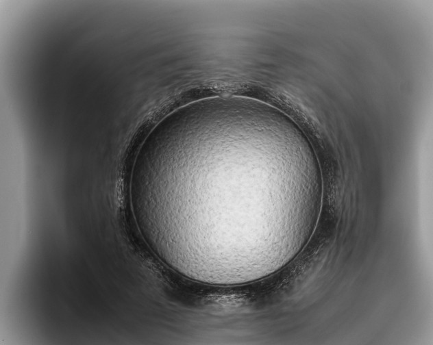 X0000095890689200801181226