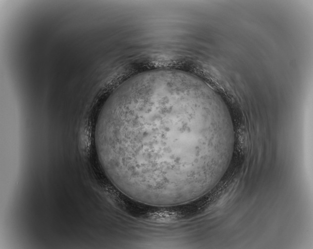 X0000095890691200801181226