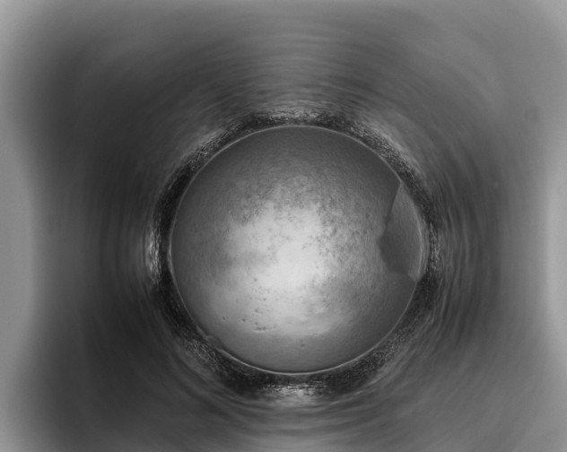 X0000095890692200801181226