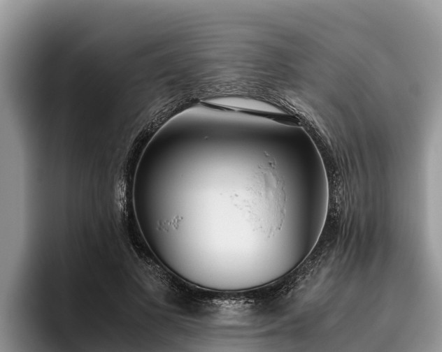 X0000095890693200801181226