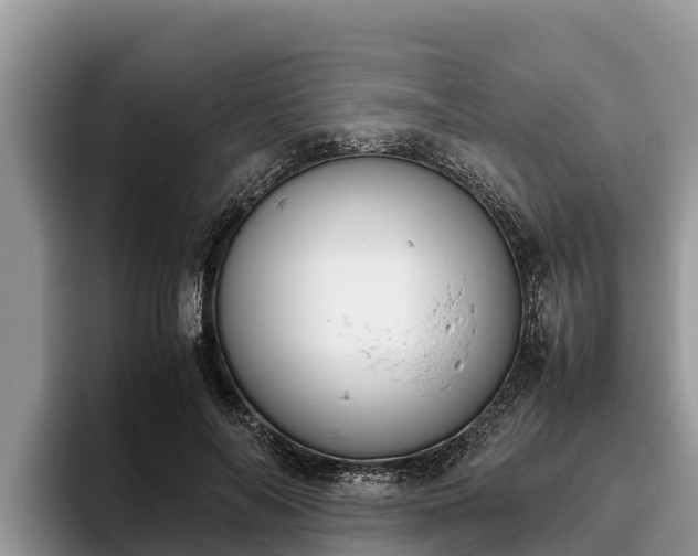 X0000095890694200801181226