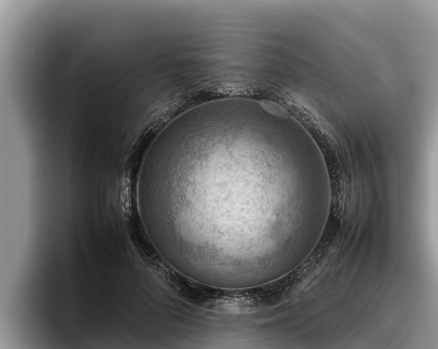 X0000095890696200801181226