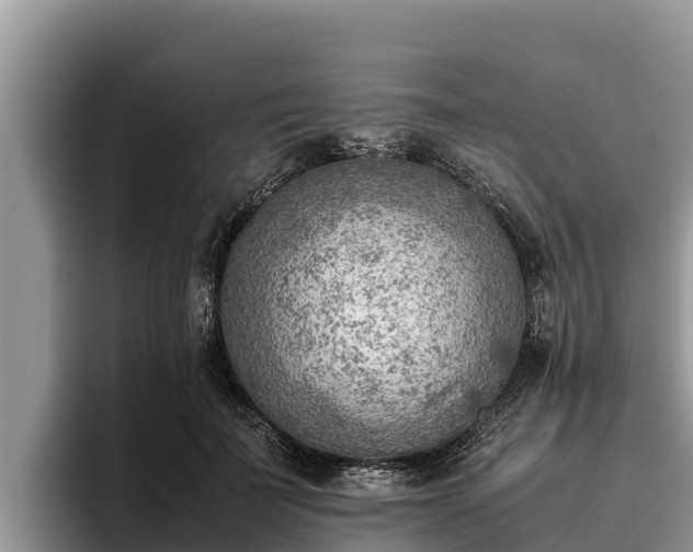 X0000095890699200801181226