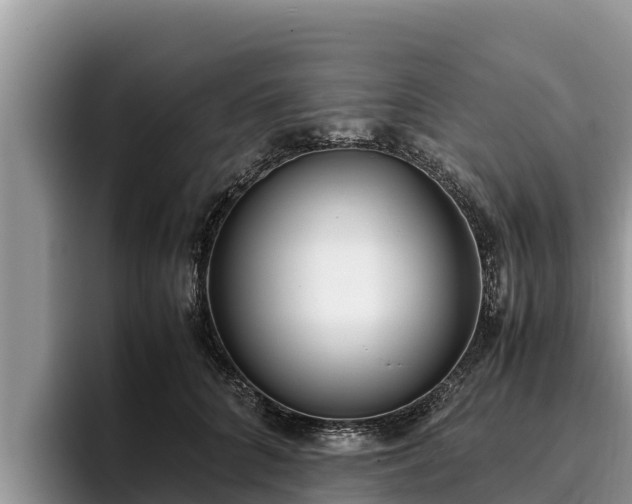 X0000095890704200801181226