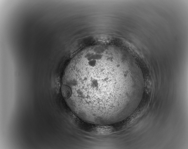 X0000095890707200801181226