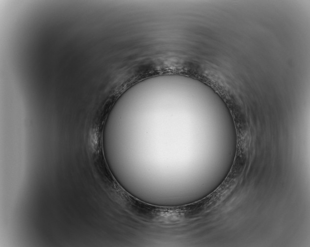 X0000095890709200801181226