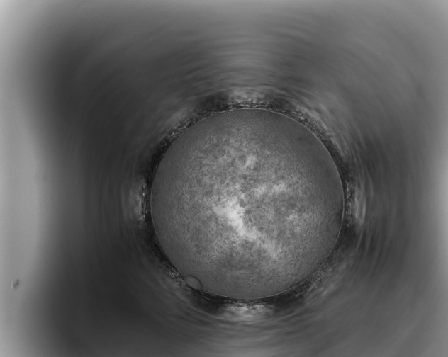 X0000095890712200801181226