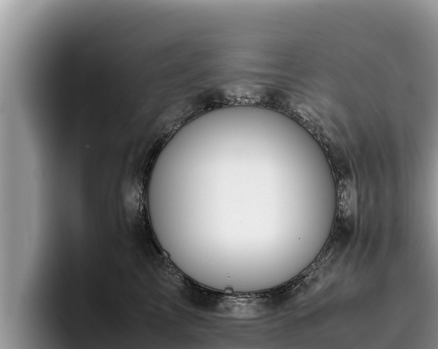 X0000095890713200801181226