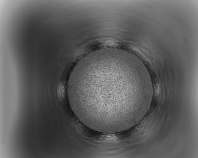 X0000095890715200801181226