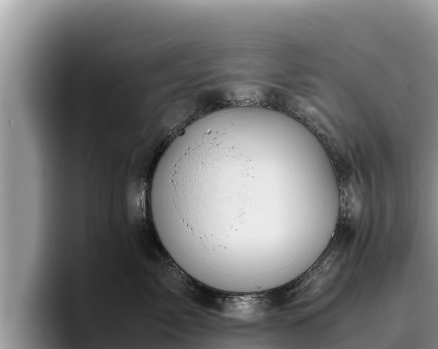 X0000095890717200801181225