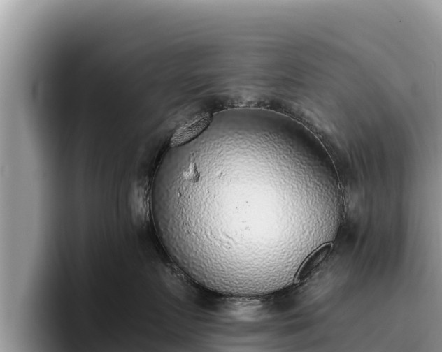 X0000095890719200801181225