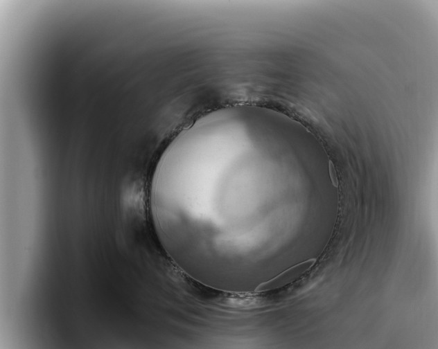 X0000095890720200801181225