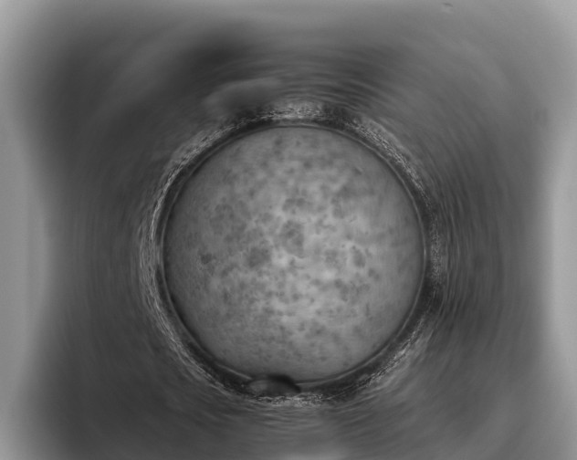 X0000095890721200801181225