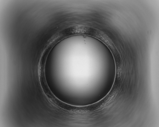 X0000095890722200801181225