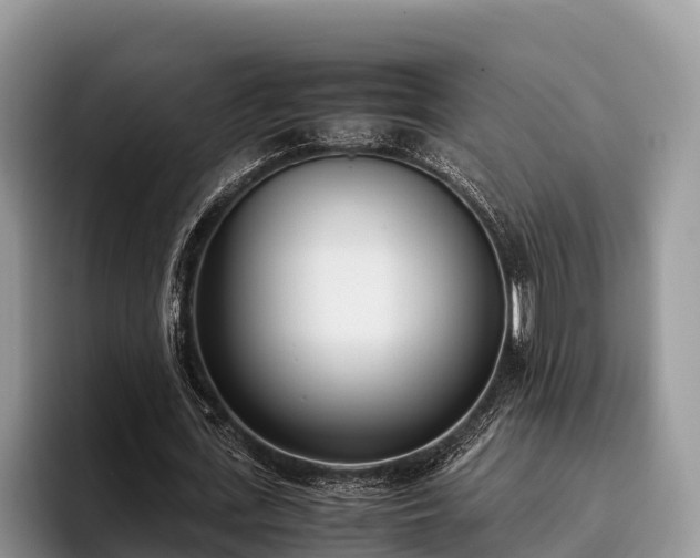 X0000095890723200801181225