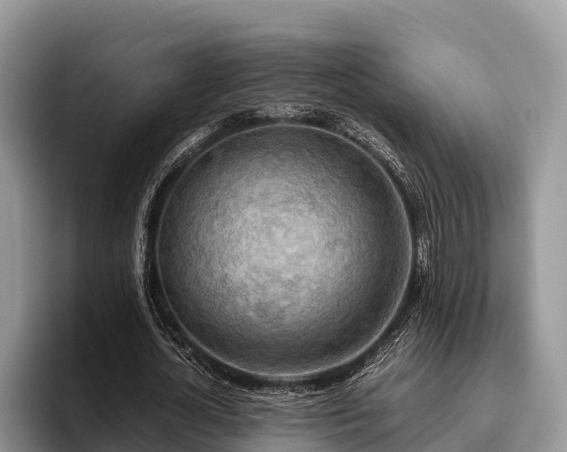 X0000095890724200801181225