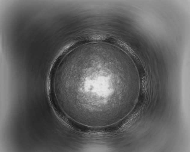 X0000095890726200801181225