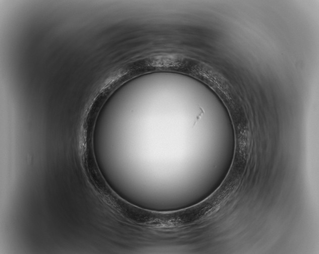 X0000095890727200801181225