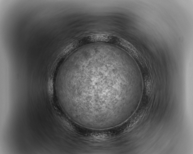X0000095890729200801181225