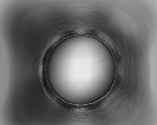 X0000095890730200801181225