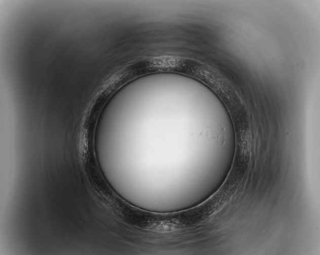 X0000095890731200801181225