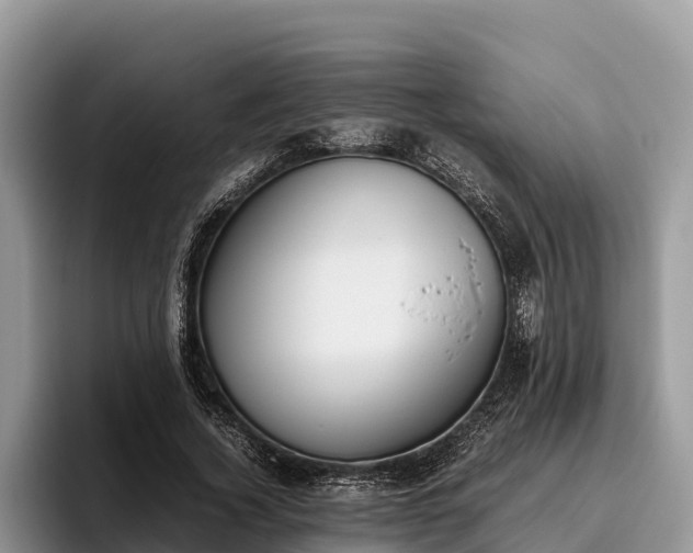 X0000095890732200801181225