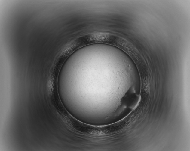 X0000095890735200801181225