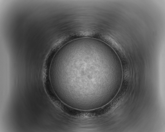 X0000095890736200801181225