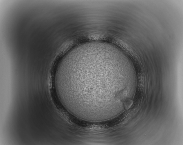 X0000095890738200801181225