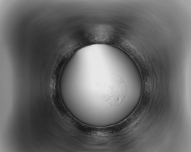 X0000095890739200801181225
