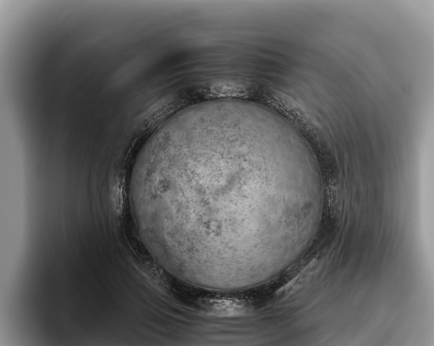 X0000095890741200801181225