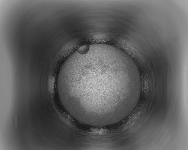 X0000095890742200801181225