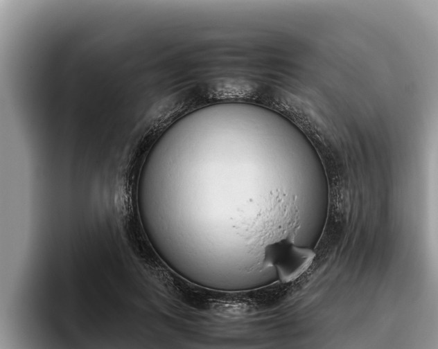 X0000095890743200801181225