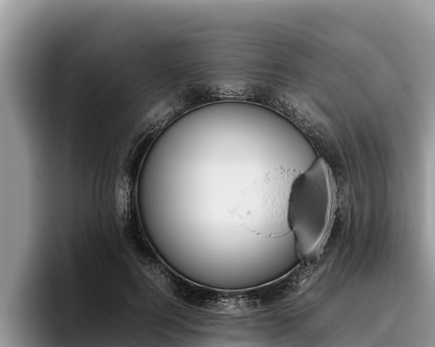 X0000095890744200801181225