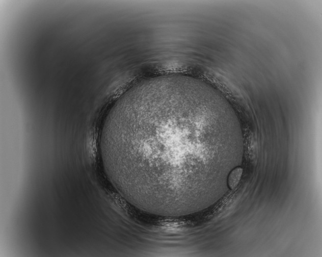X0000095890746200801181225