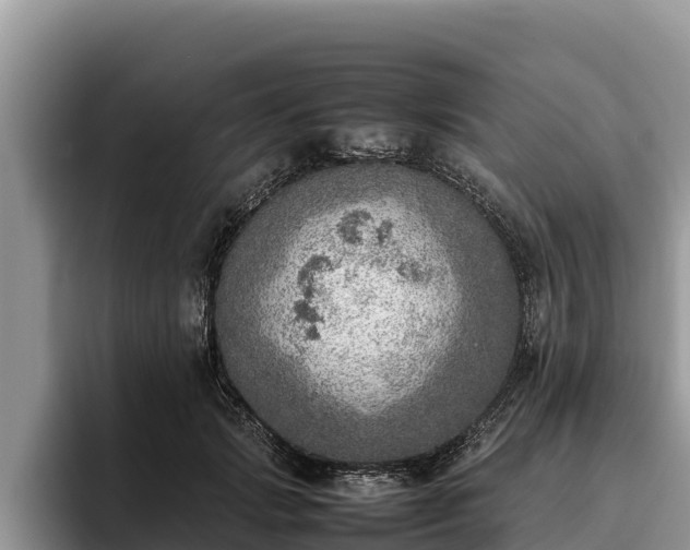 X0000095890749200801181225