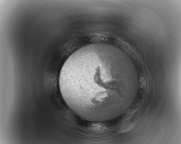X0000095890753200801181225