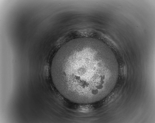 X0000095890757200801181225