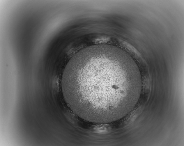 X0000095890761200801181225