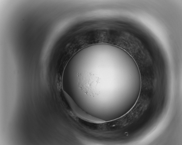 X0000095890766200801181225