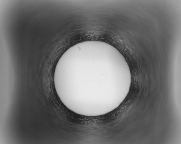 X0000095890769200801181225