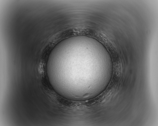 X0000095890770200801181225
