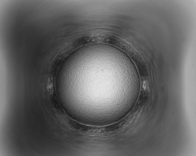 X0000095890771200801181225