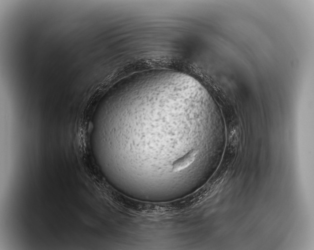 X0000095890772200801181225