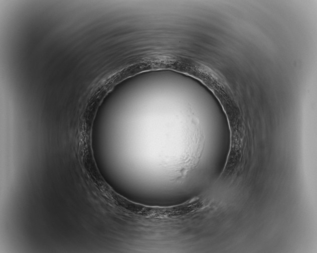 X0000095890773200801181225