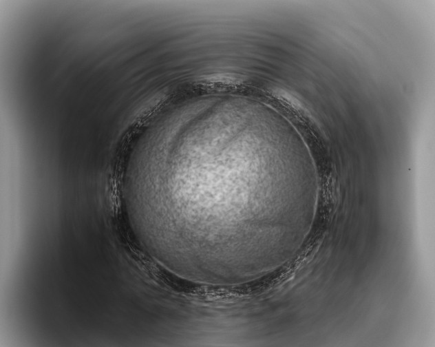 X0000095890774200801181225