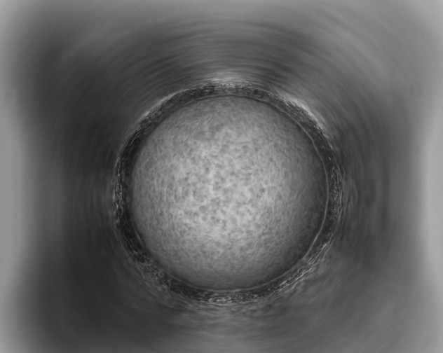 X0000095890776200801181225