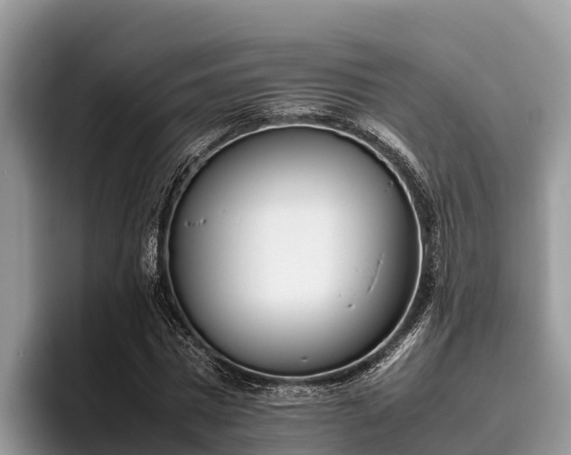 X0000095890777200801181225