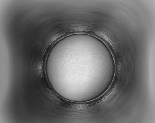 X0000095890778200801181225